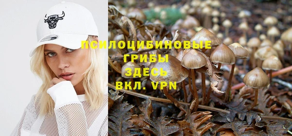 кокаин колумбия Бородино