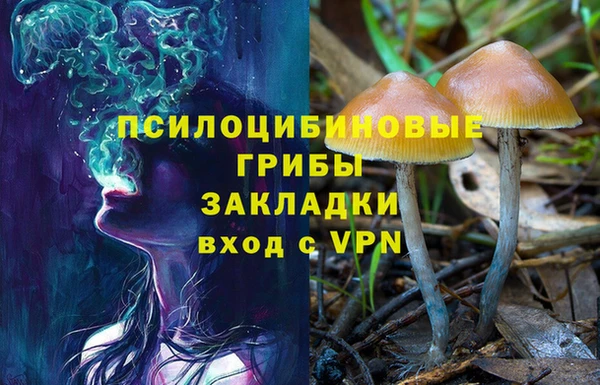дурь Бронницы