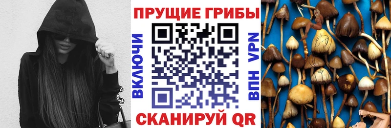 MEGA вход  наркотики  Новохопёрск  Галлюциногенные грибы MAGIC MUSHROOMS 